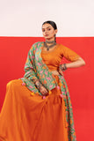 Example Lehenga Choli-2