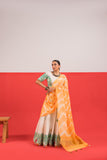 Example Lehenga Choli-2