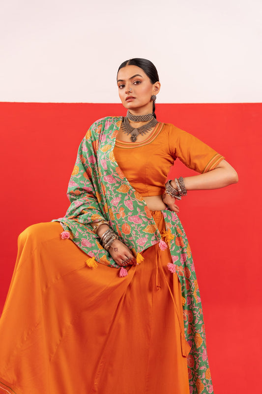 Example Lehenga Choli-4